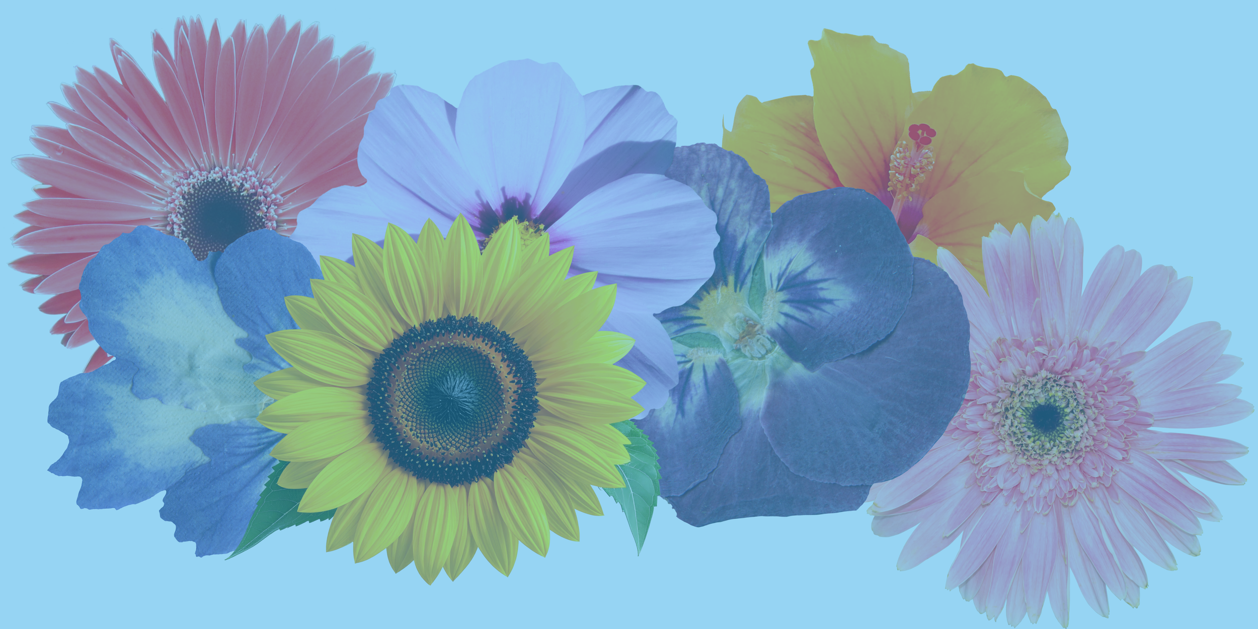 The Sprouting Biz '26 Banners (6).png
