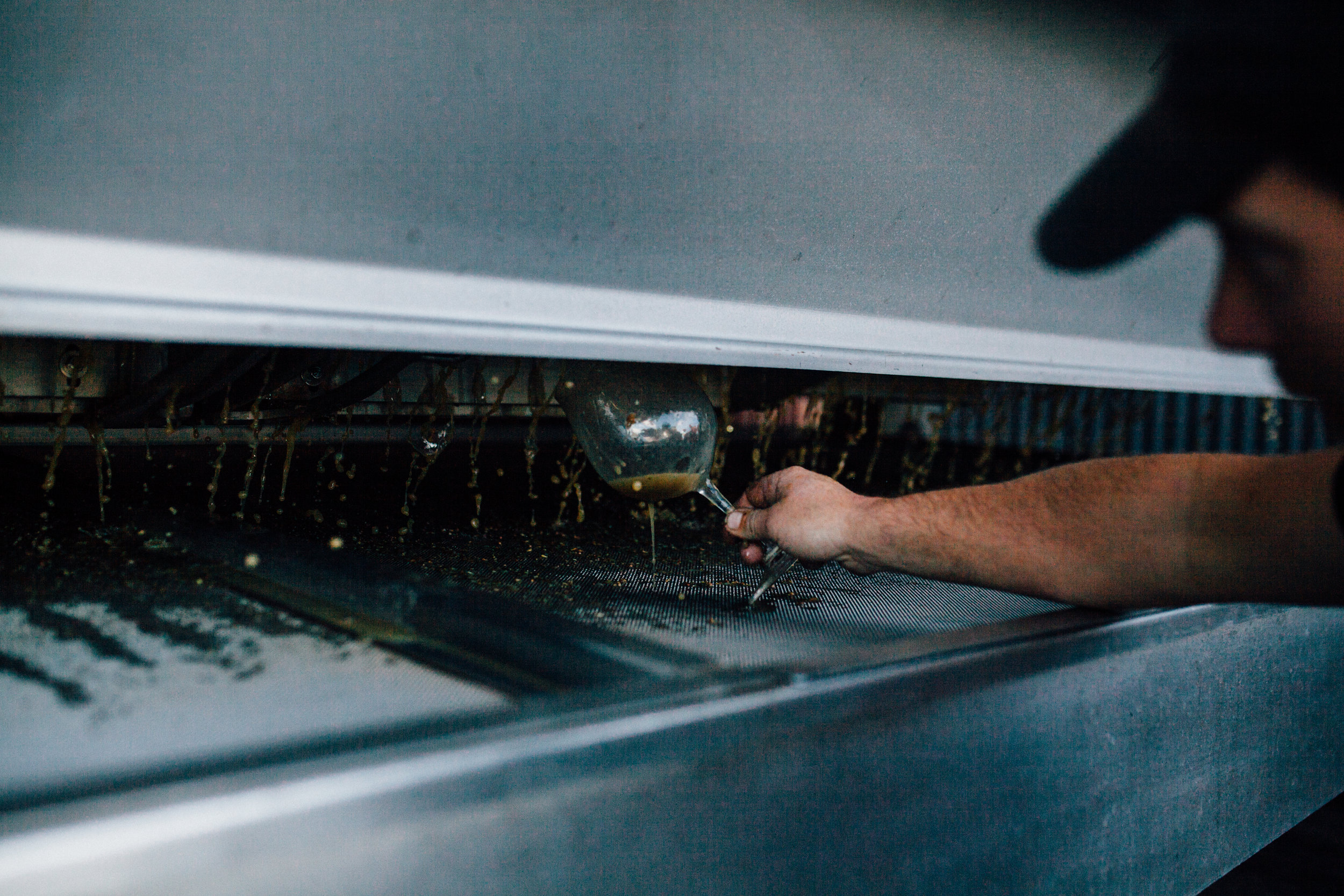 North Canterbury: Chardonnay's Happy Place