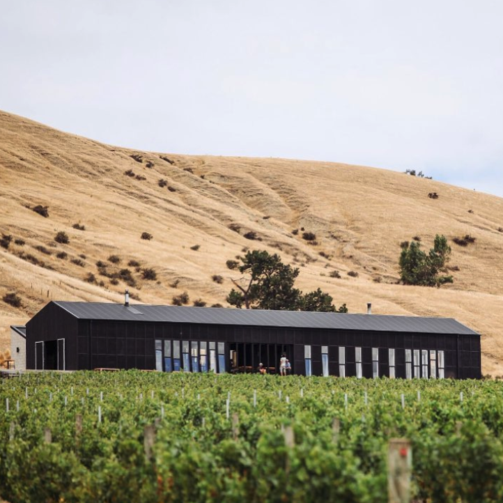 Young Vit Awards Dinner