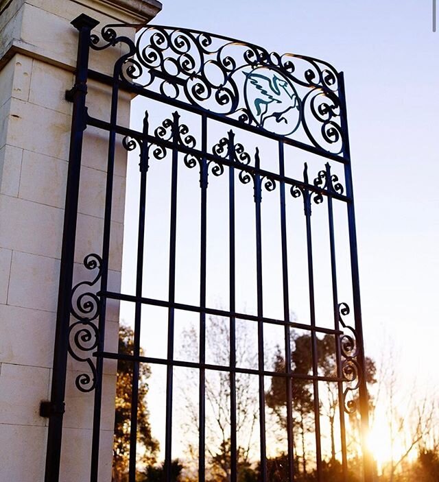 If you're ready to venture out of the city, many of our winegrowers are getting ready to welcome you back to North Canterbury!  Here&rsquo;s @pegasusbaywine &ndash; open from Saturday for seated tastings and wine sales! 
This is looking a little different for all, so stay tuned and we'll update you as we figure out what level 2 looks like for all your favourite spots in NC. 
One thing is for sure &ndash; we can't wait to see you in person. With sanitiser in hand, that is ✊