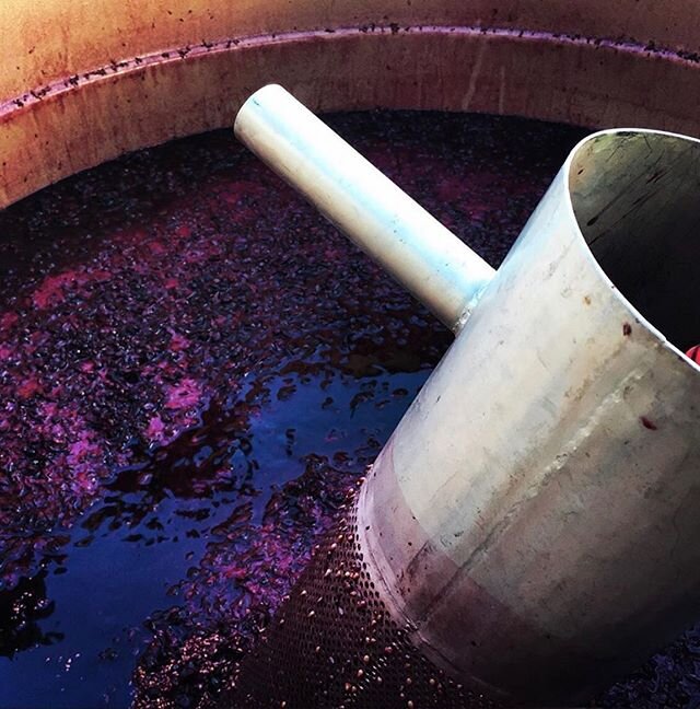 A month in the fermenter, and now ready to be sent to the barrel. Great snap from @georgesroad 🍷