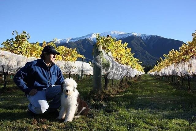 @esses_house_of_bubbles are a small boutique grower that specialise in Vintage Méthode Traditionelle. They are nestled between the Seaward Kaikōura ranges and Kaikōura peninsula and have a unique microclimate that is perfect for making bubbles. Th