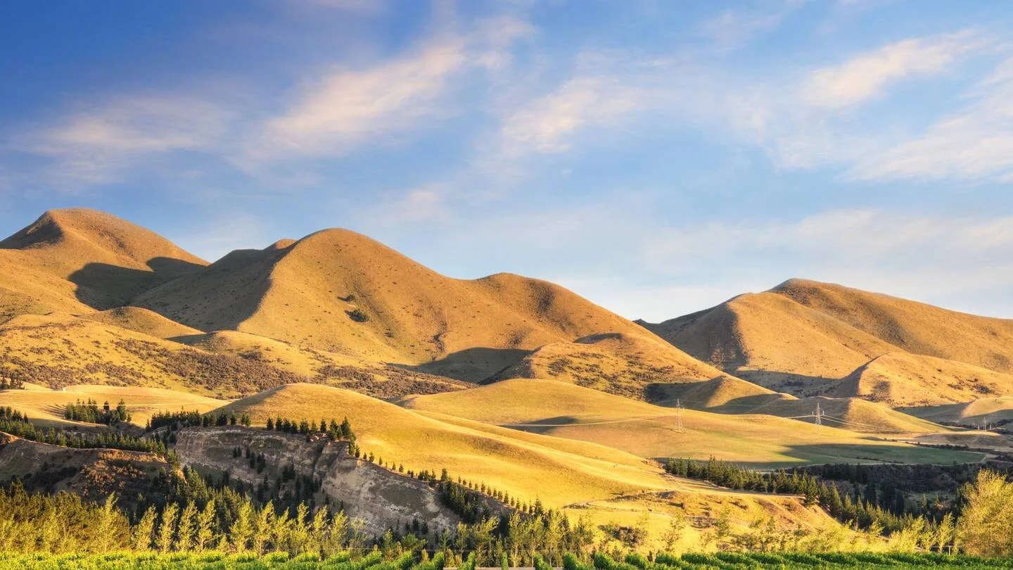 Pinot Noir Day: The Boutique and Unique Tipples of North Canterbury