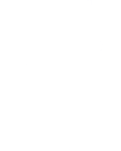 Lincoln University logo