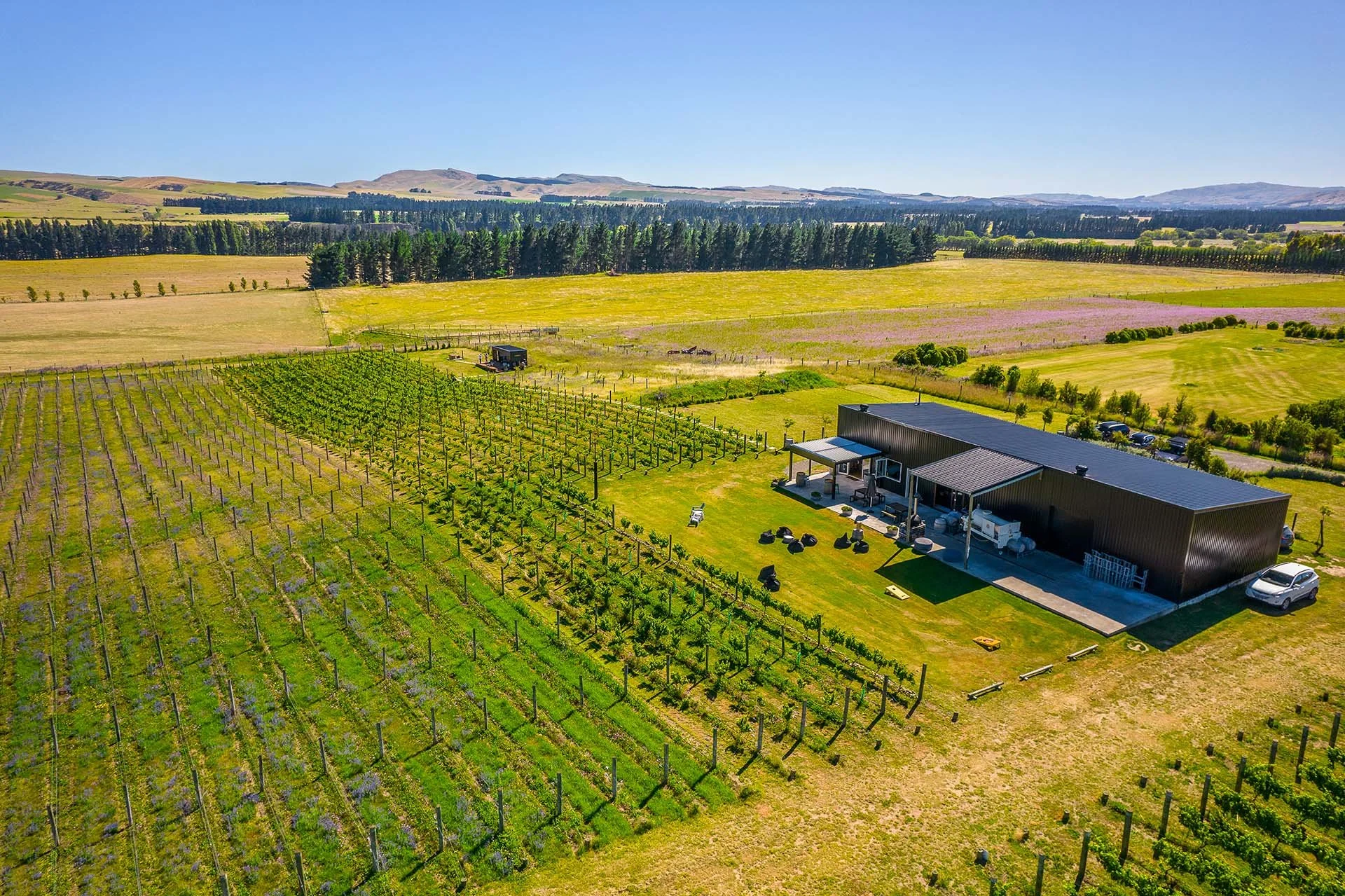 georgesroadwines