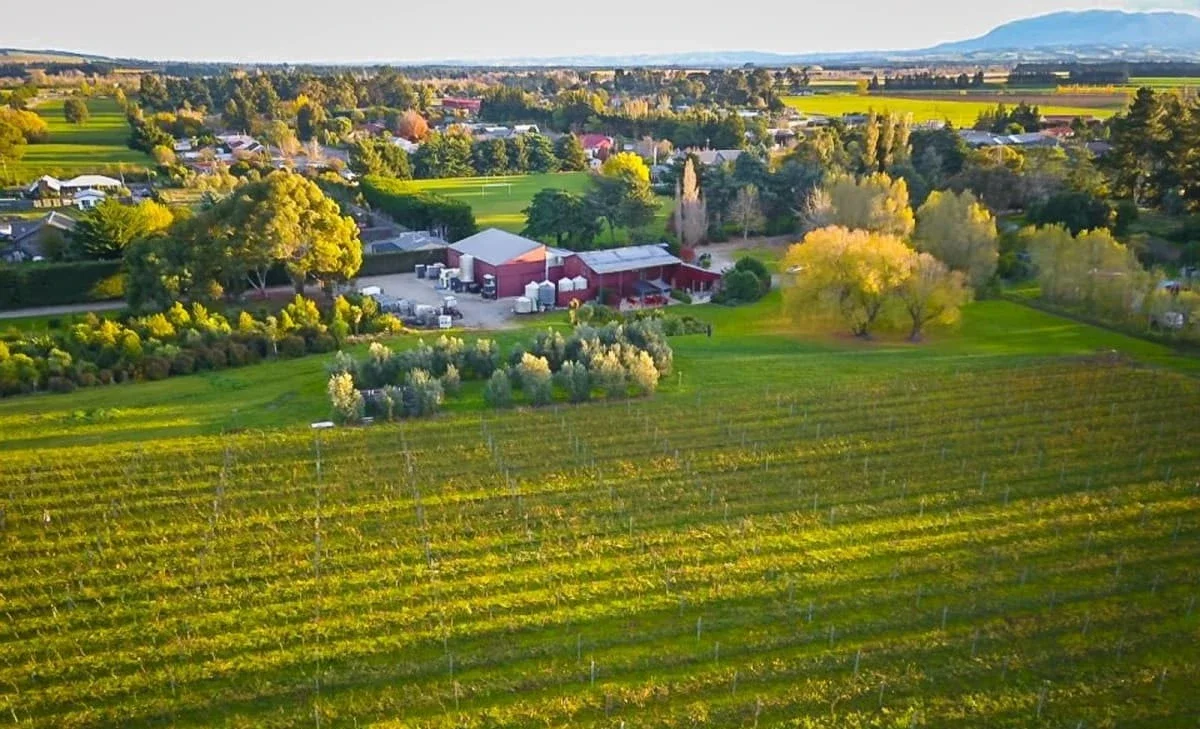 torlessewines