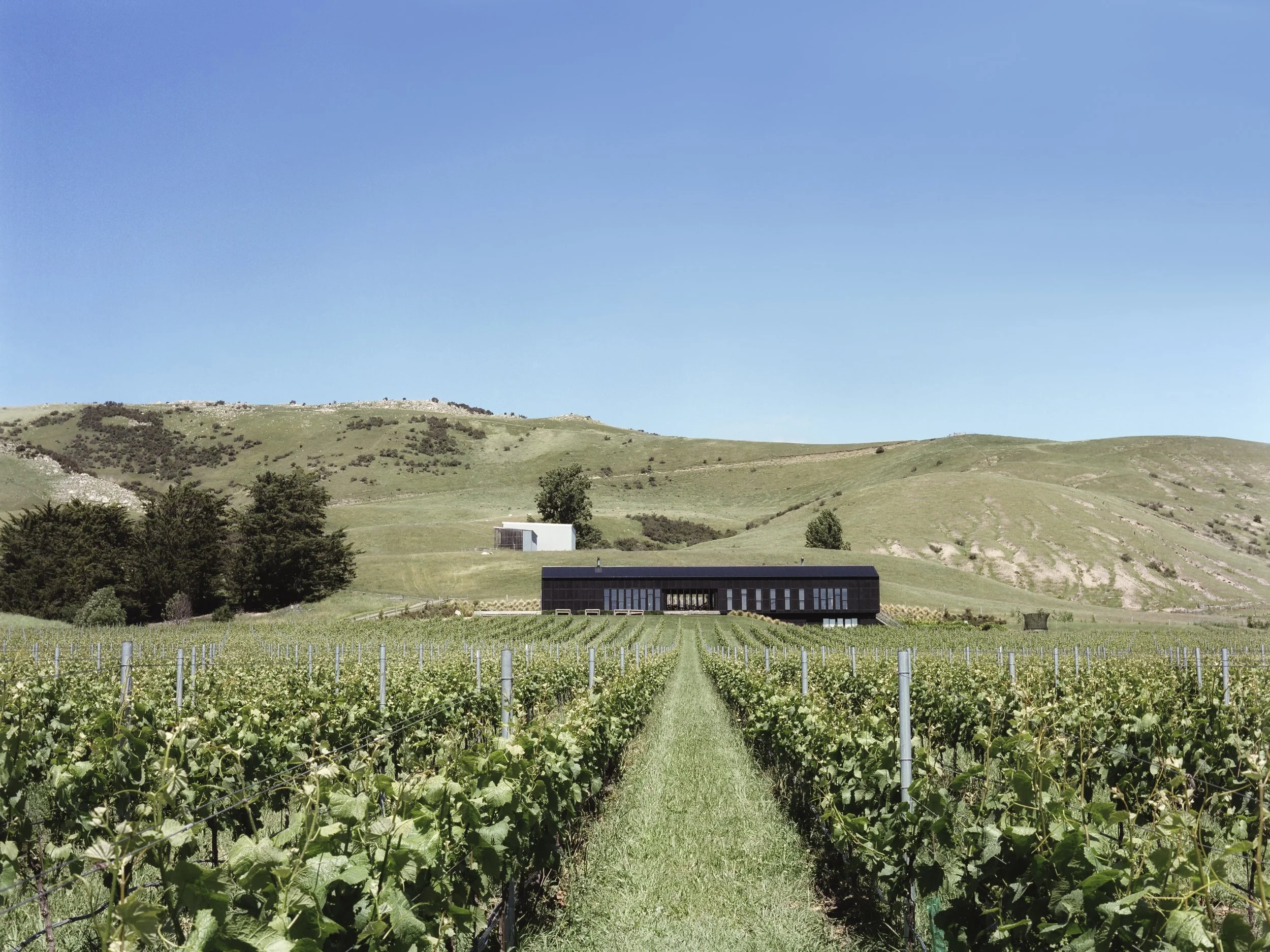 blackestatewines