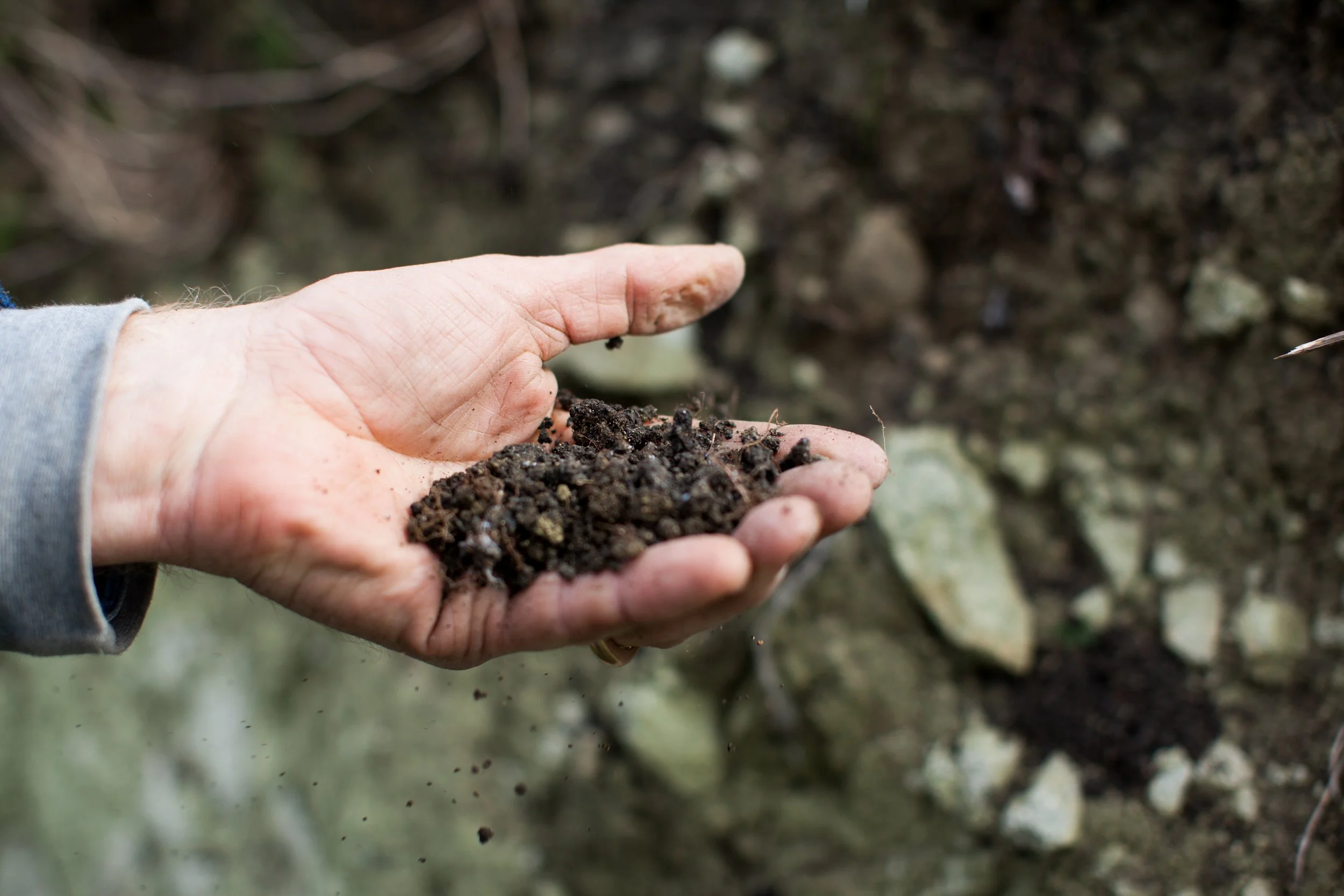 North Canterbury soil