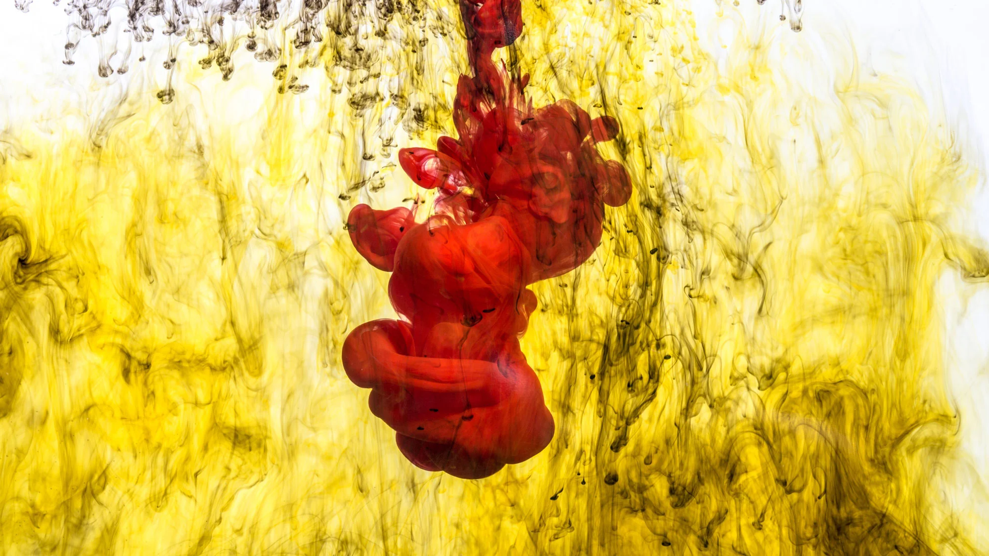 red-ink-drop-in-yellow-liquid_what_inspires_briggs_and_riley.jpg