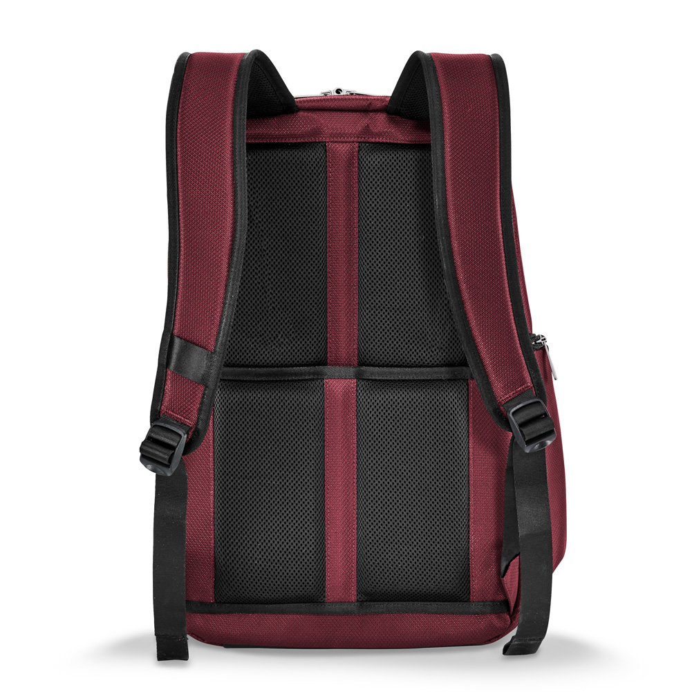 Merlot Cargo Backpack Back
