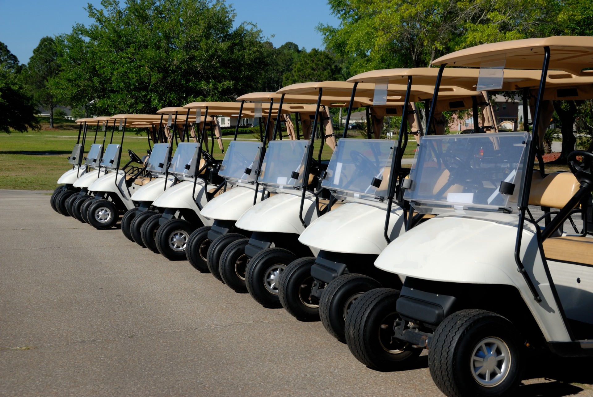 golf-carts-1403117132HiZ.jpg