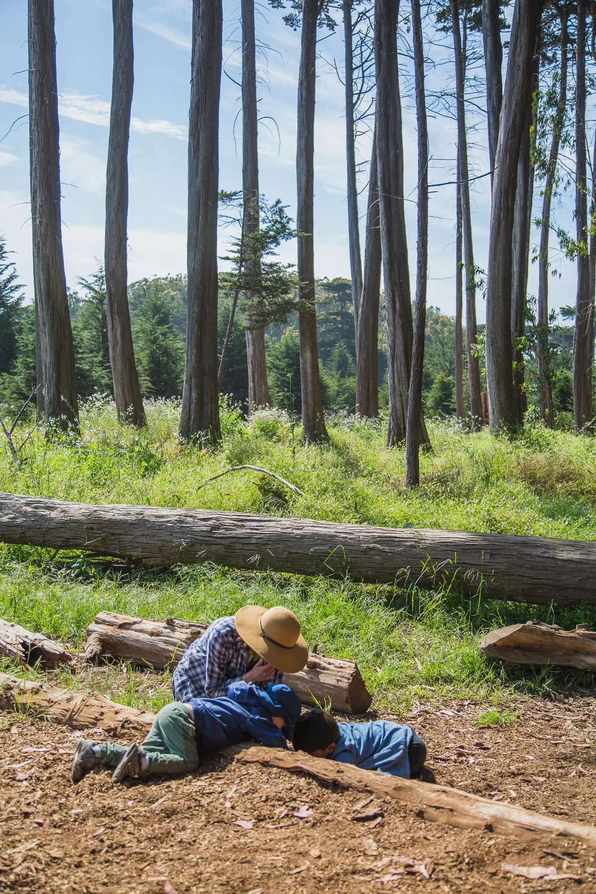 Active learning and exploration at the forest school.