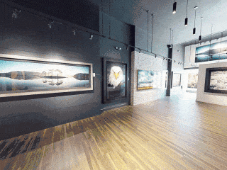 National-Geographic-Fine-Art-Galleries-Miami-Beach-SHORT-INTRO-320x240-GIF.gif