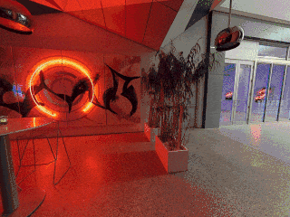 KAIDO-Miami-SHORT-INTRO-320x240-GIF.gif