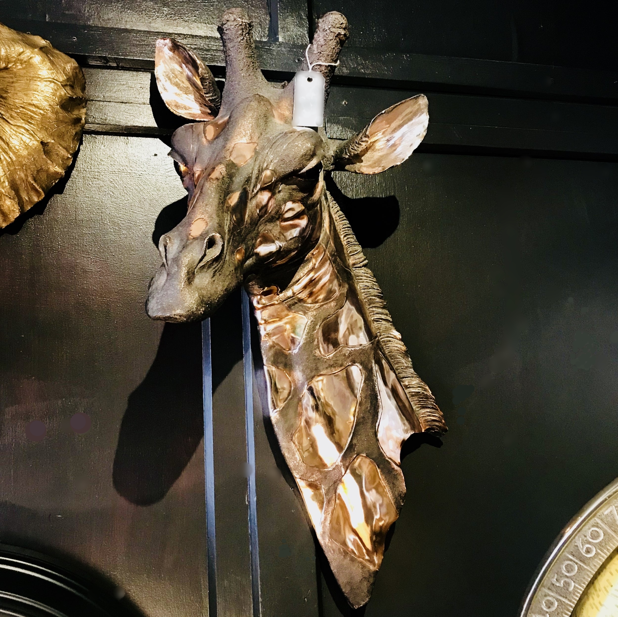 Gerald The Giraffe!