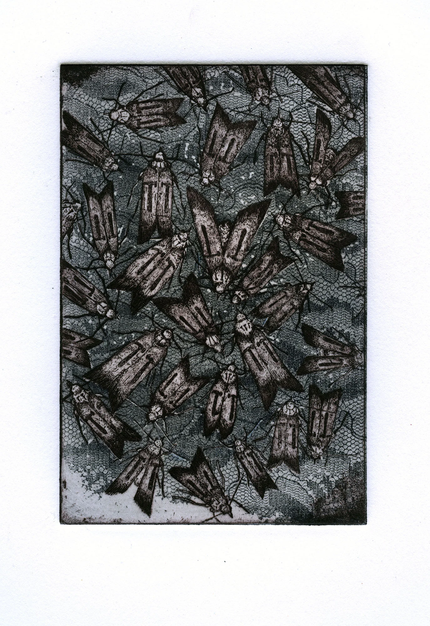 "Infestation", Ian J. Welch