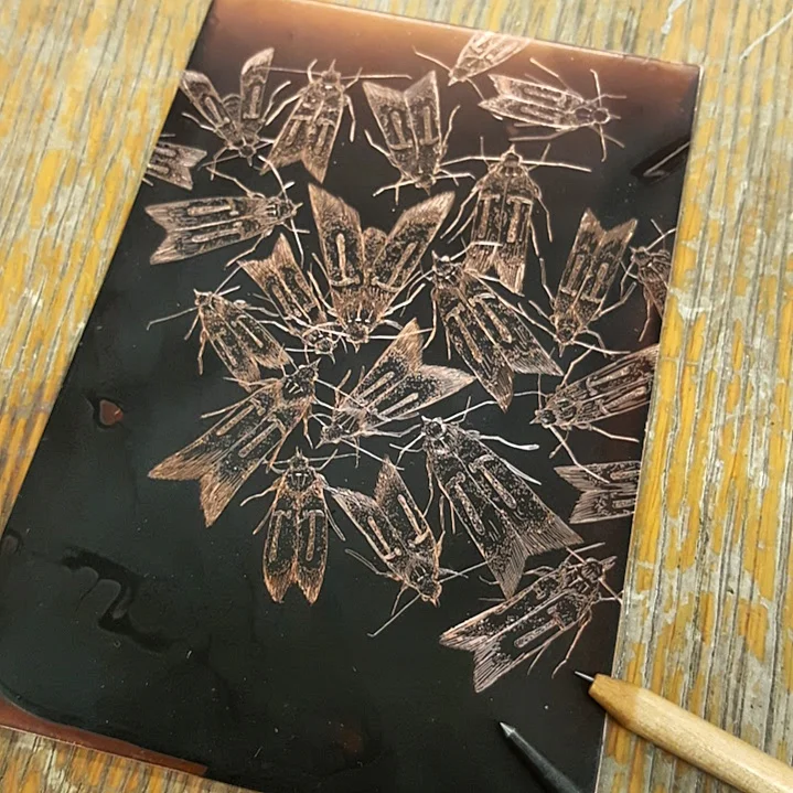 Intaglio Etching &amp; Aquatint ($145.00)