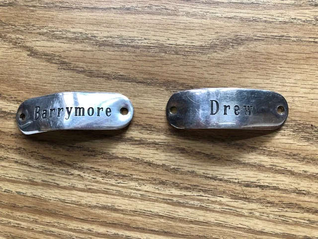 The Drews and Barrymores: A Theatrical Dynasty at St. Stephen’s!