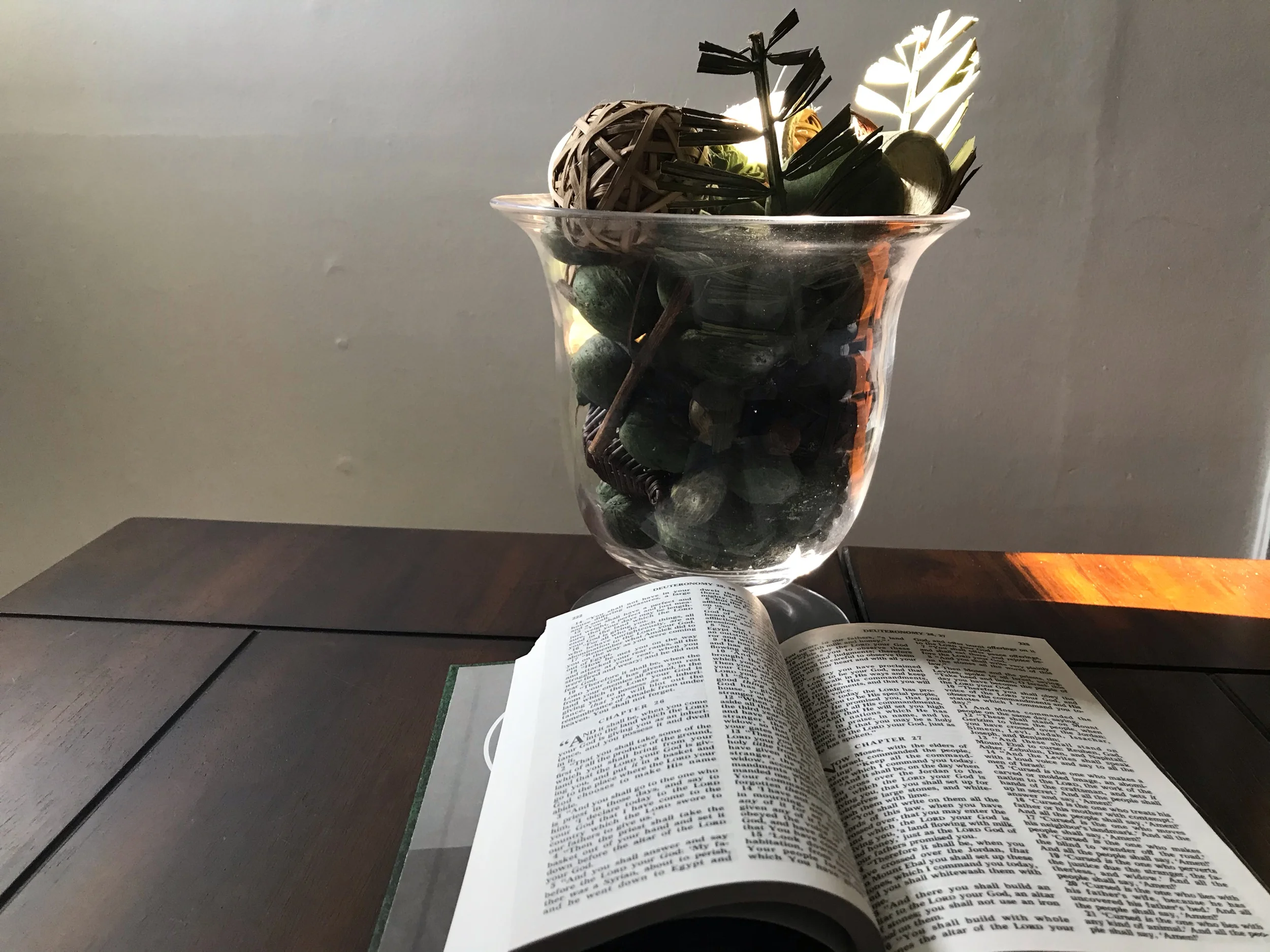 Join us for a pre-Thanksgiving Day service on Weds, Nov. 27