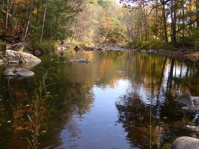 A PERSONAL THANKSGIVING REFLECTION: Gratitude for a healing place