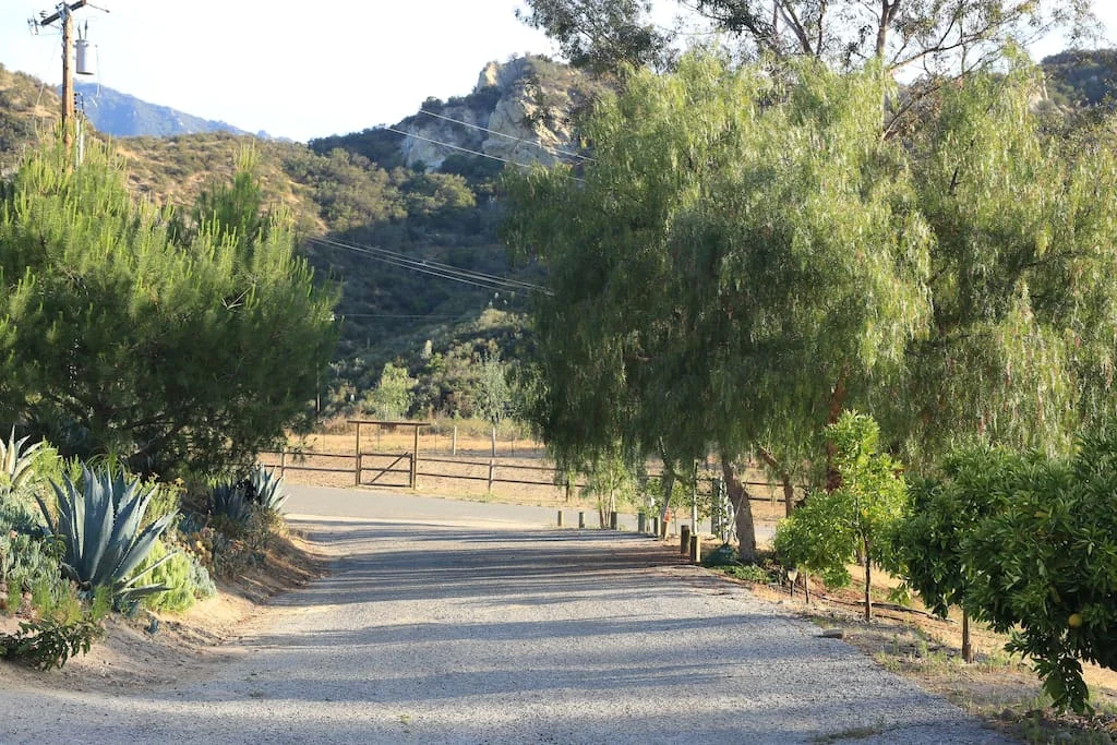 driveway.jpg