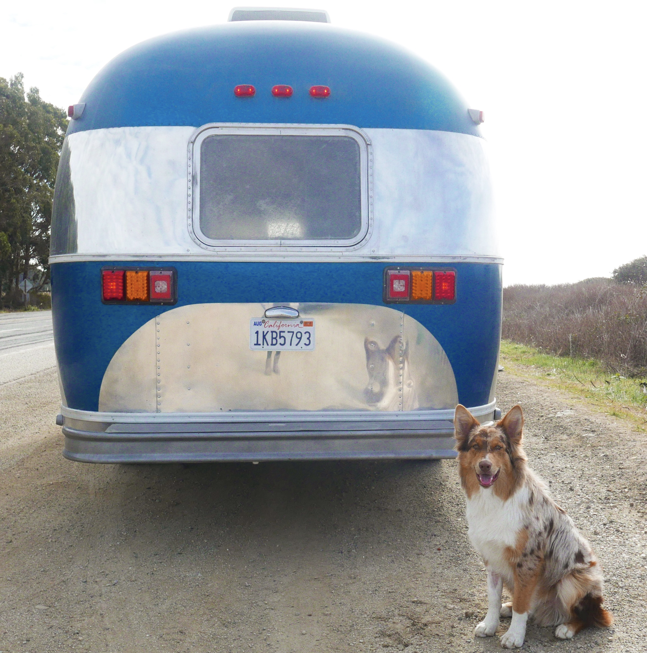 The Airstreme & The dog Grizzly.png