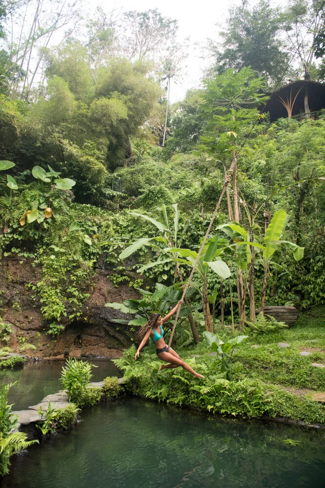 DSC_8185-MHS-web 2.JPG