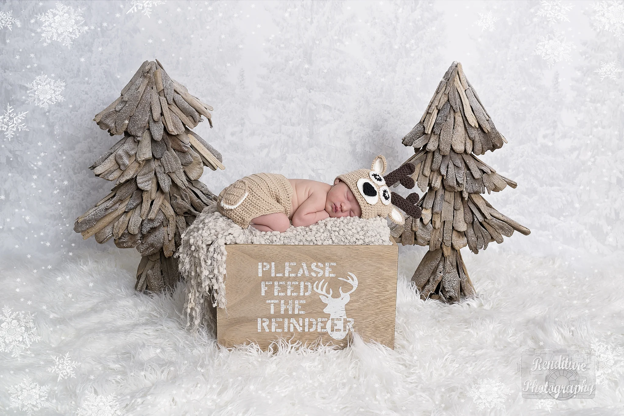 Saskatoon-Newborn-Family-Renditure-Mini-Session-Photography-Photographer-Christmas-Holiday-Saskatchewan-470 FBR.jpg