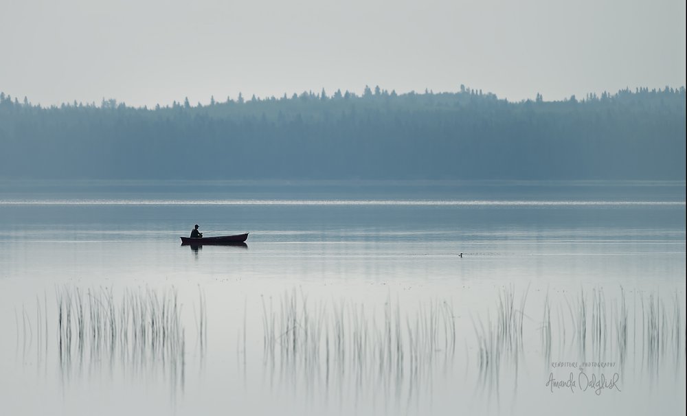 Sillouette-Waskesiu-WaskesiuLake-PANP-WildlifePhotography-AmandaDalglish-Renditure-Fishing5WEB.jpg