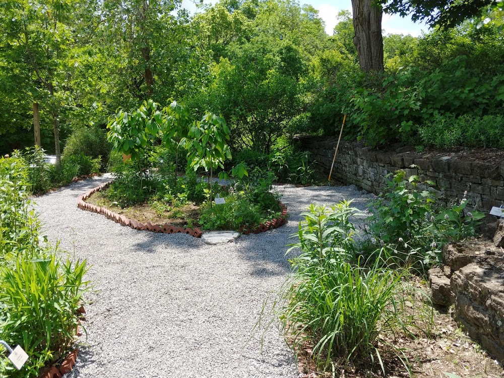 Model Native Garden