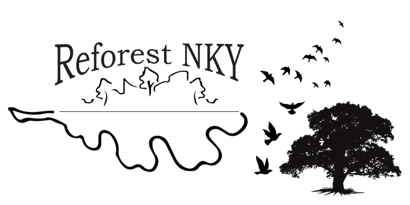 Reforest Northern Kentucky Tree Planting