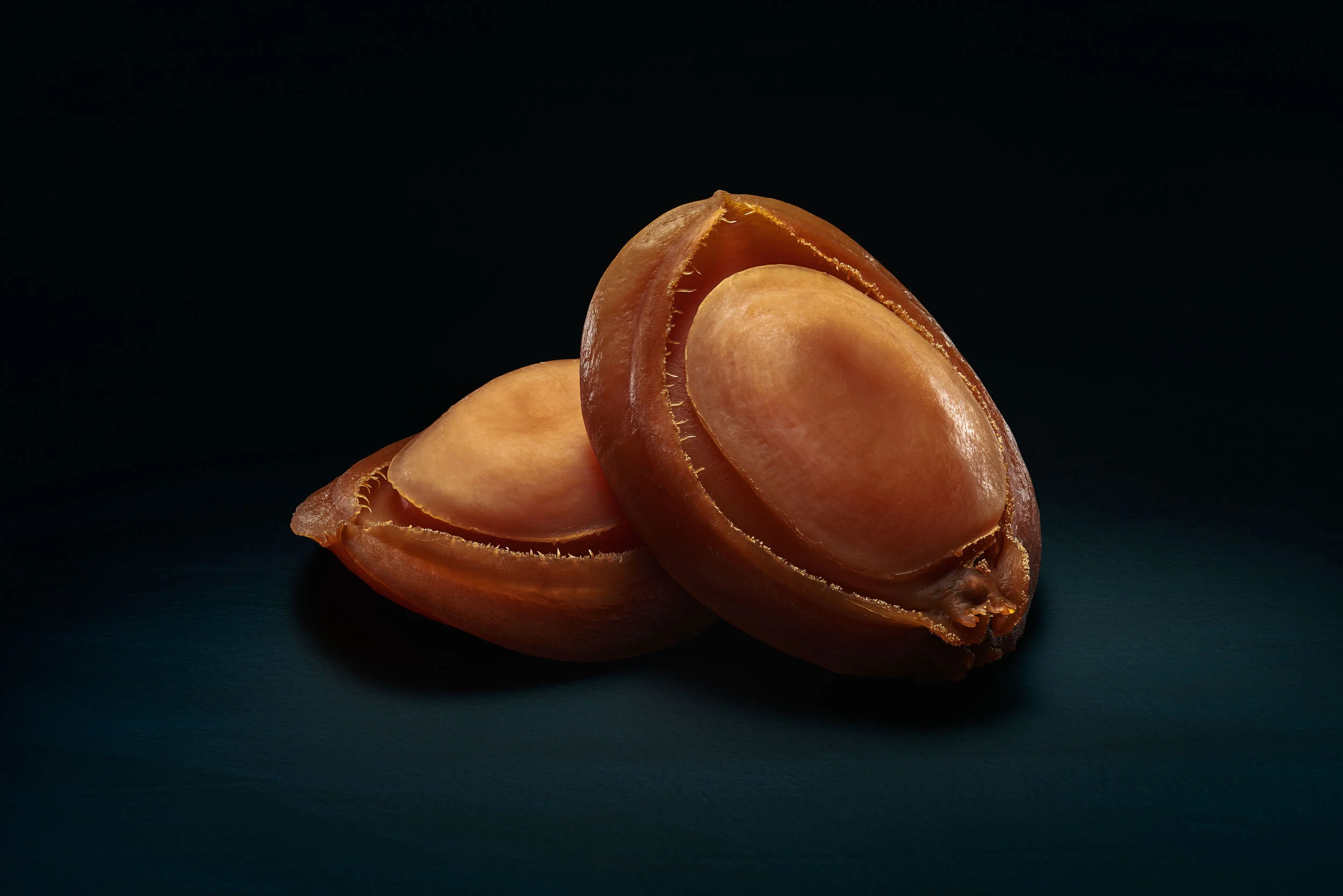 2018-12-09 20-23-27 (B,Radius8,Smoothing4)_HighRes_Website.jpg