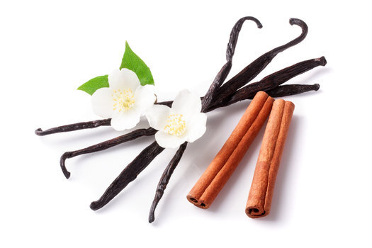 gracefruit_gracefruit_vanillacinnamonfragranceoil_1565340221VanillaCinnamon.jpeg