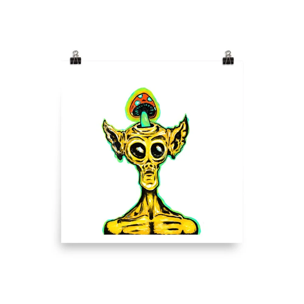 enhanced-matte-paper-poster-(in)-12x12-transparent-61b7c29a608c8.jpg