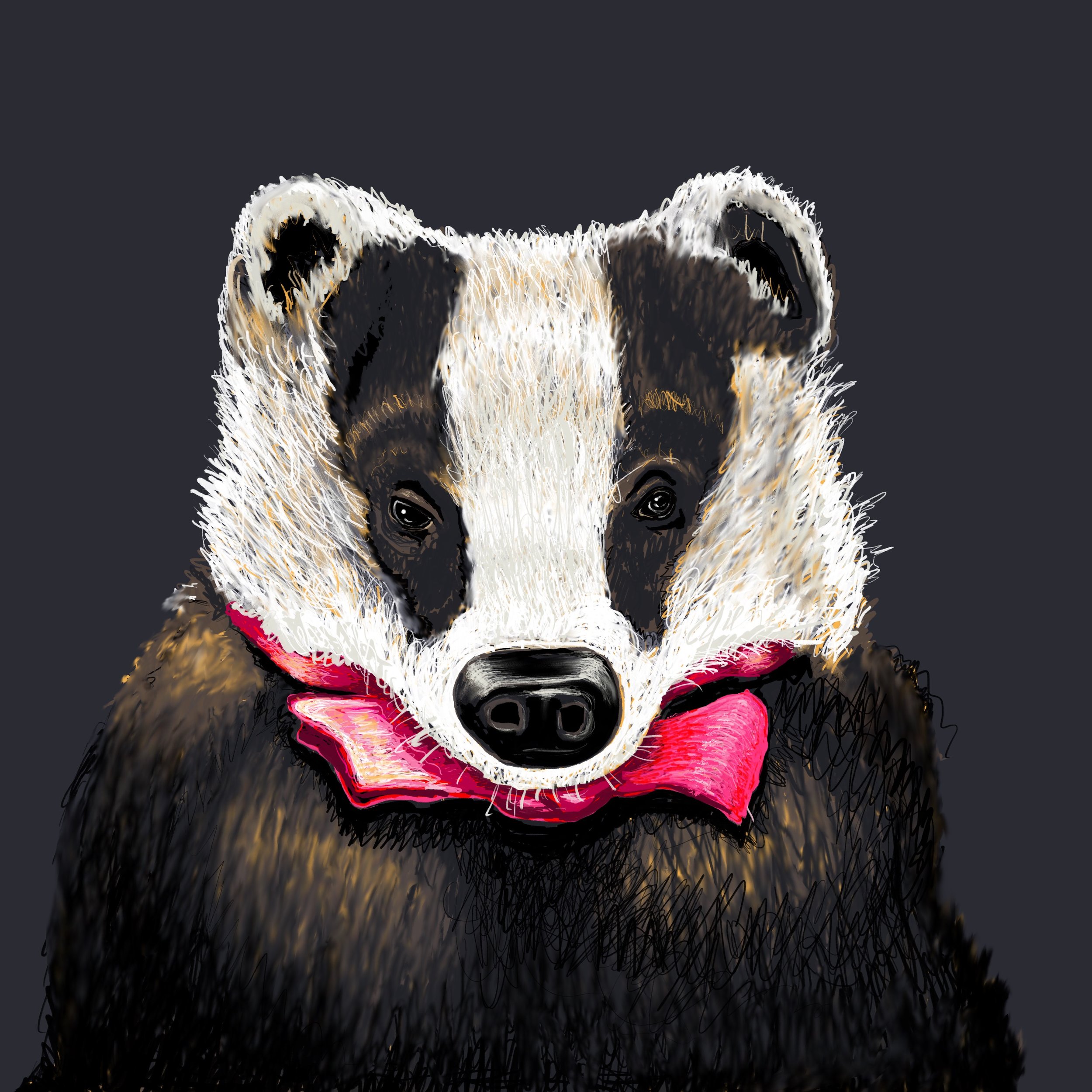 Mr. Badger.jpeg
