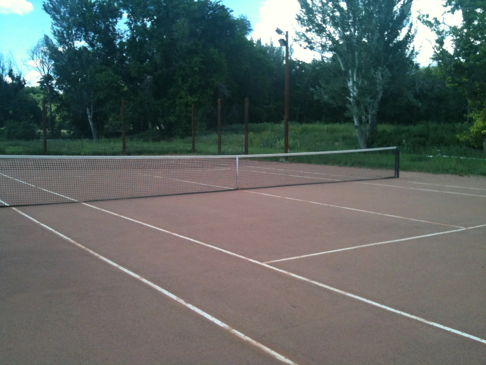 rogerlove.3.jpg