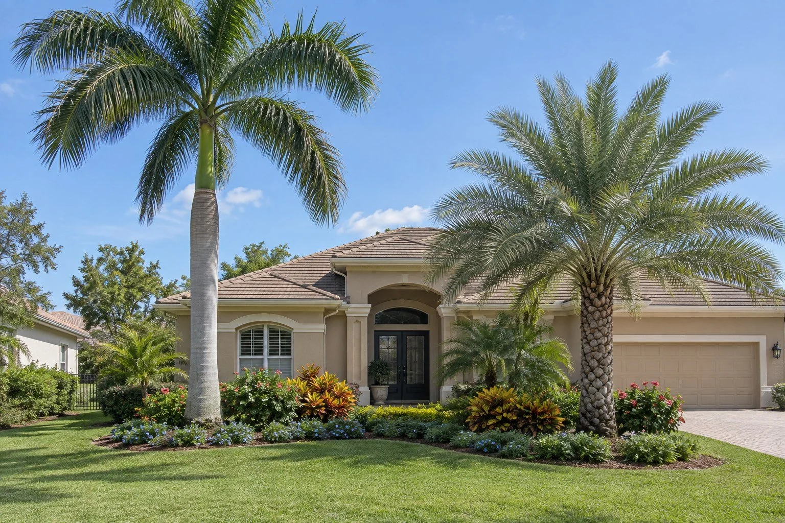 Royal Palm or Sylvester Palm: Which Fits Your Tampa Landscape?
