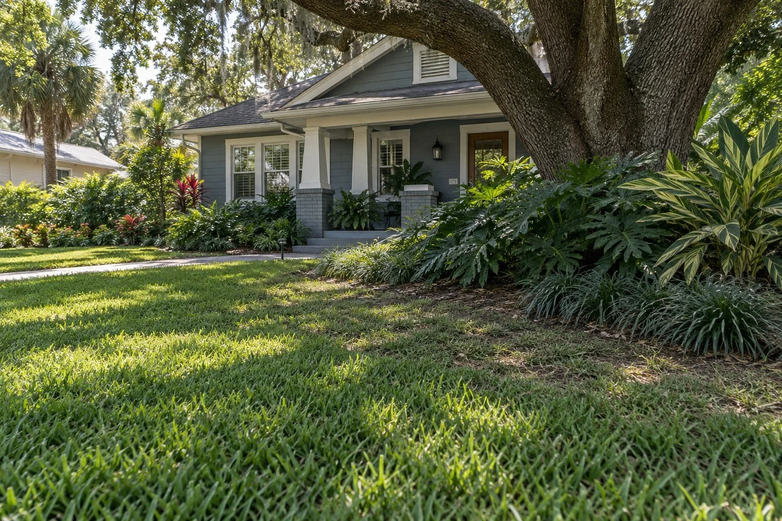 Can St. Augustine Grass Grow in Shade in Tampa?