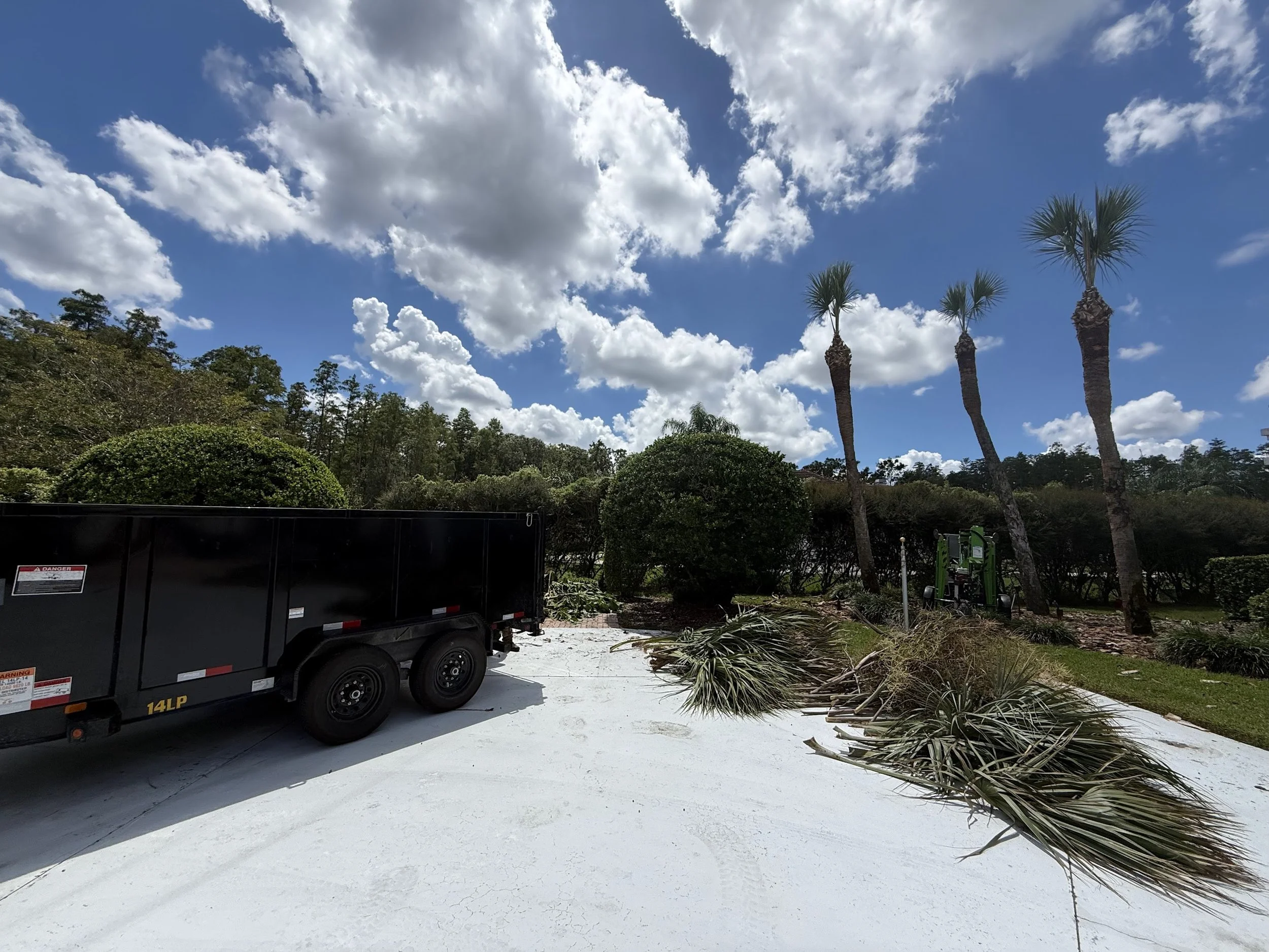 rlc-palm-pruning-property-cleanup-in-progress-tampa.jpg