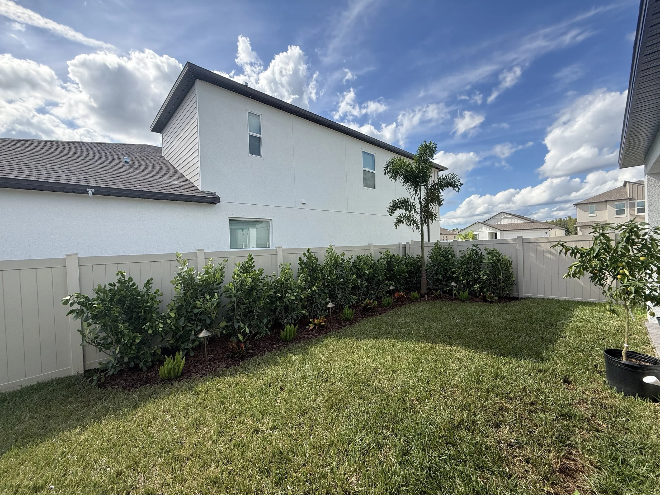 Small-leaf clusia privacy hedge planted along a vinyl fence by RLC Lawn & Landscape in Lutz, FL