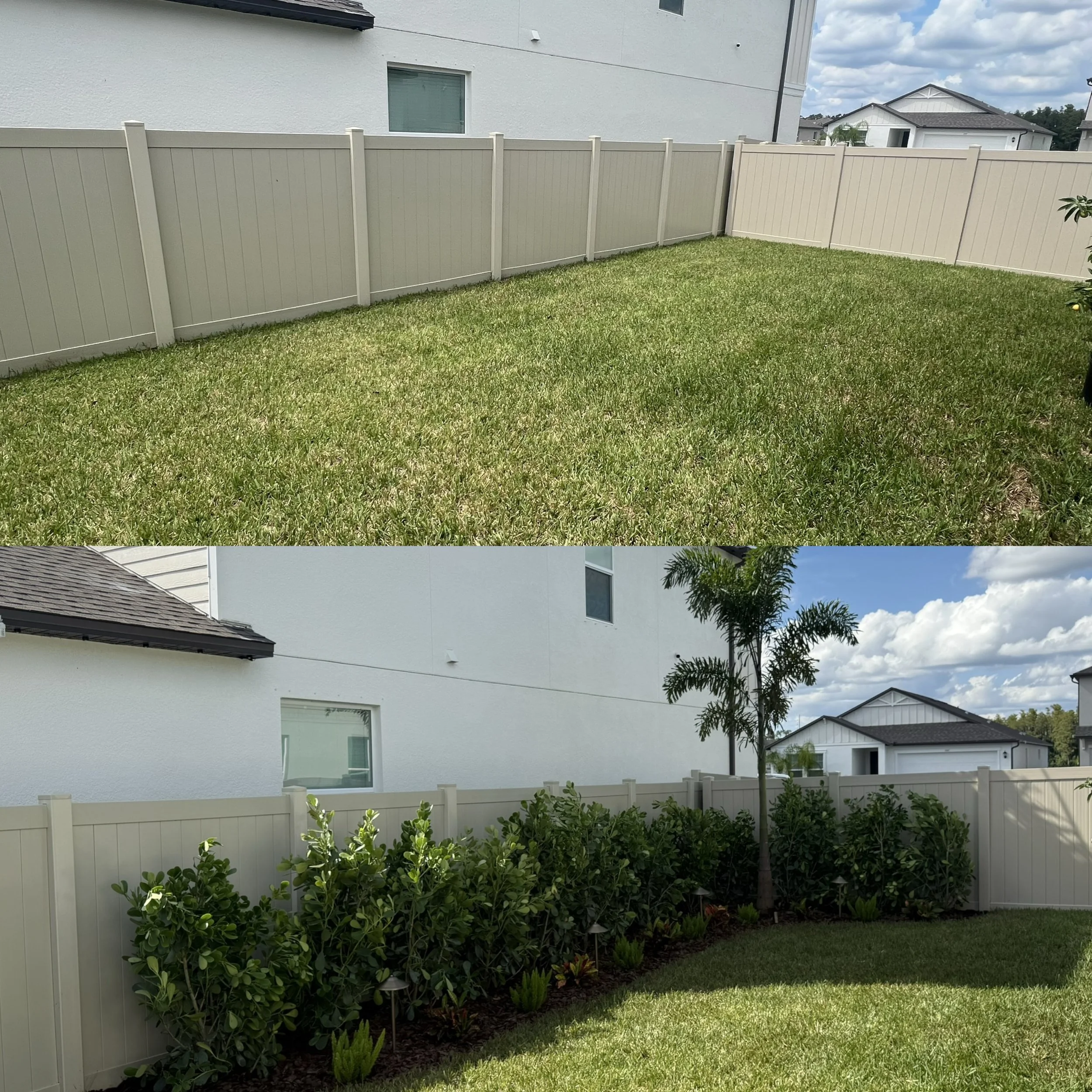 Before and after: RLC planted a small-leaf clusia privacy hedge with a foxtail palm, crotons, foxtail ferns and path lighting along this Lutz backyard fence.