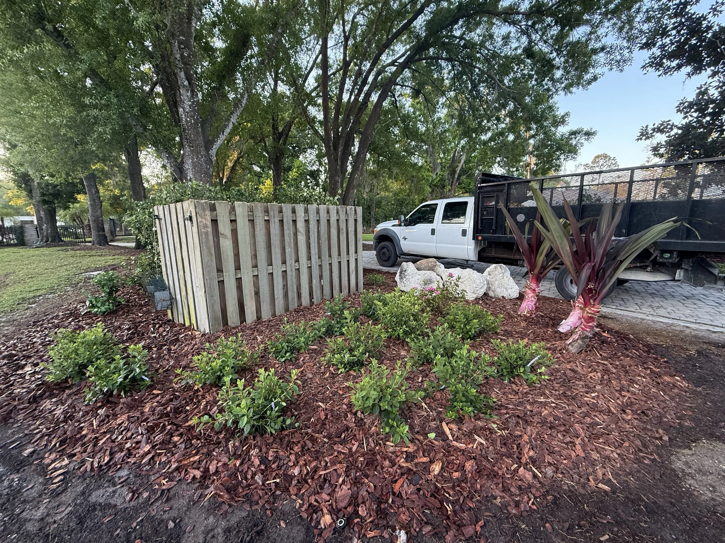 rlc-fresh-mulch-boulders-and-tropical-plants-tampa.jpg