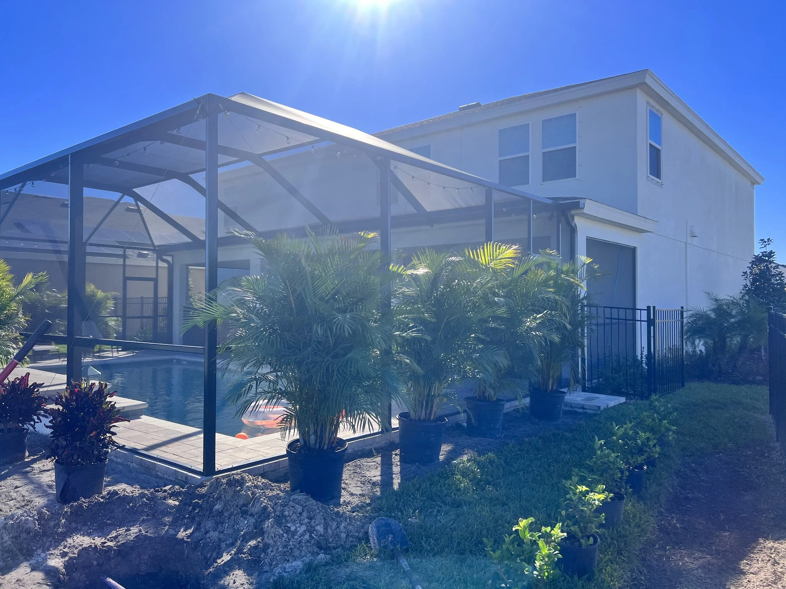 rlc-areca-palm-pool-privacy-installation-tampa.jpg