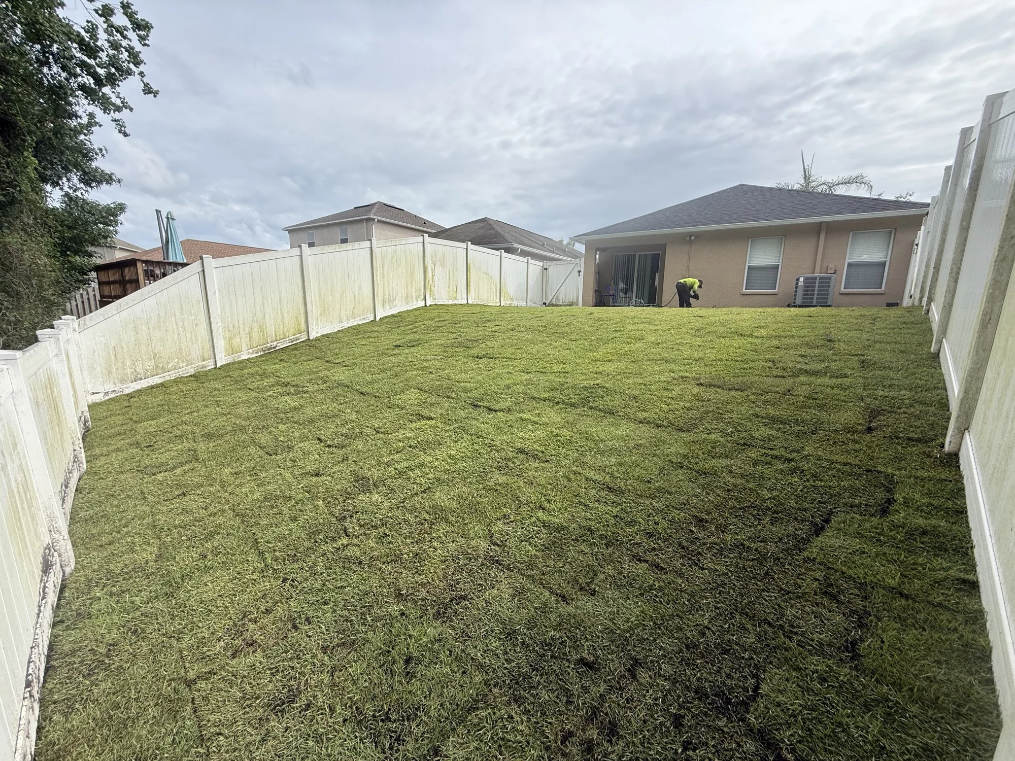 Freshly laid sod across a fenced backyard during an RLC lawn installation.
