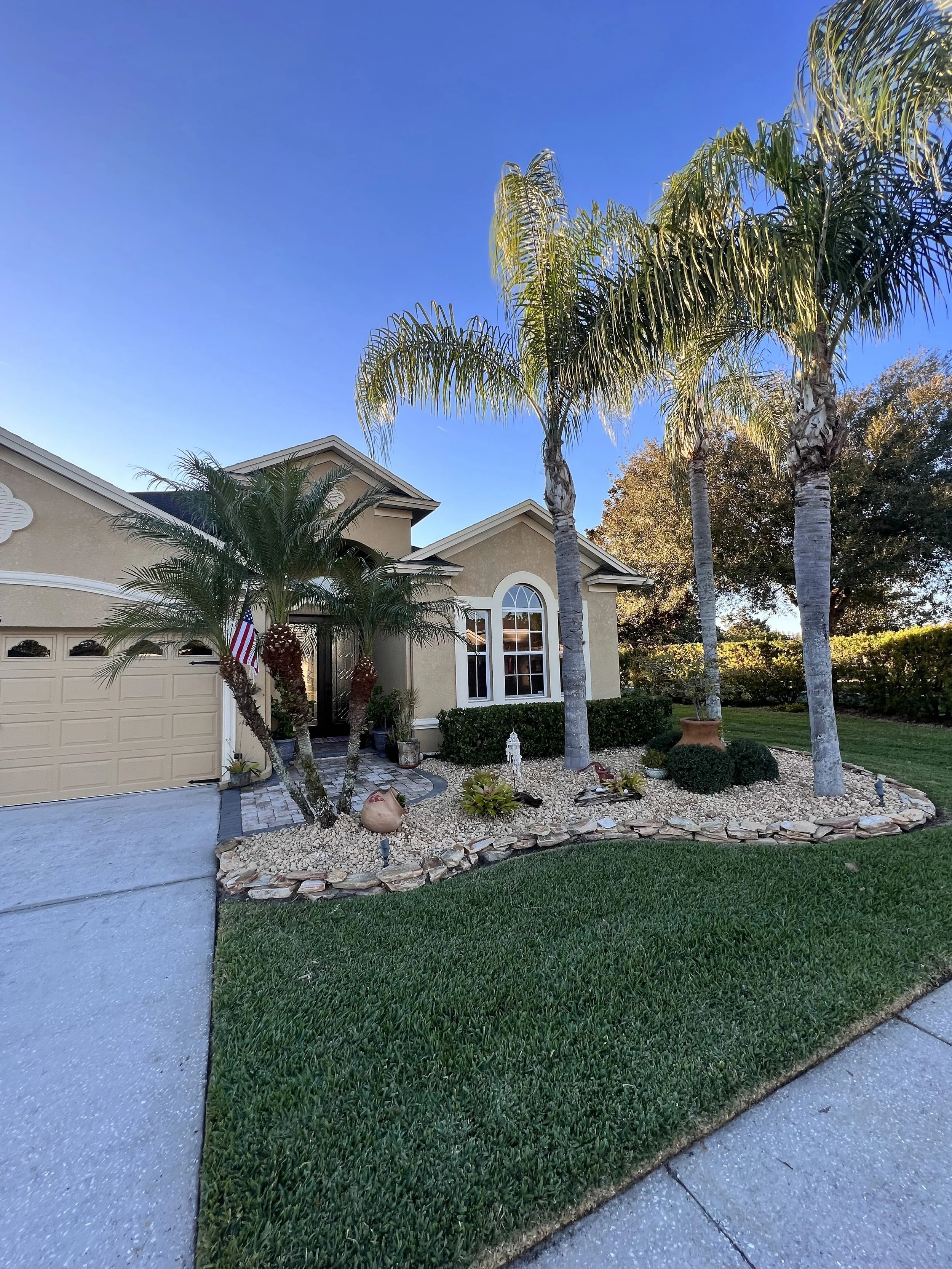 rlc-white-rock-palm-landscape-tampa.jpg