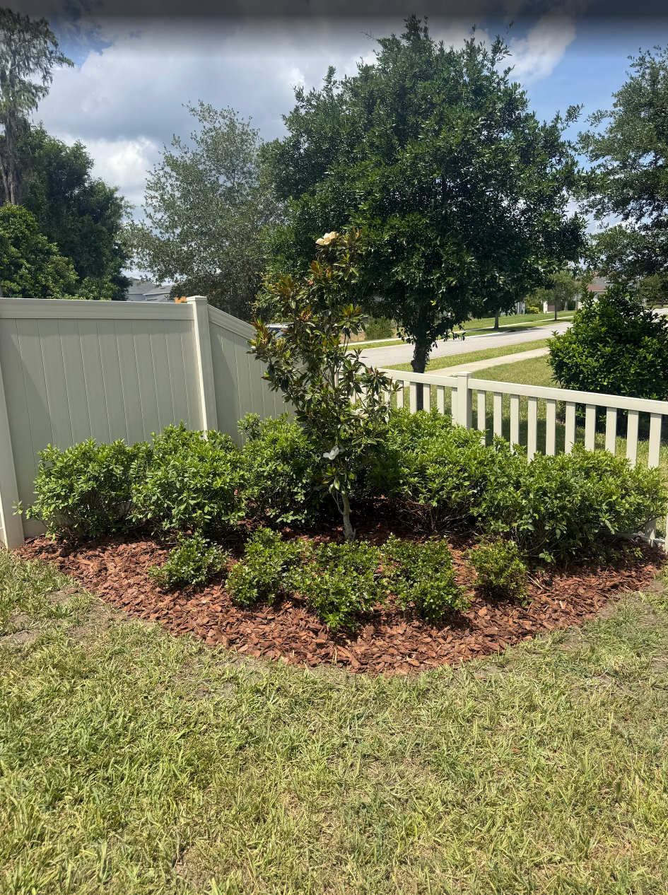 rlc-curved-mulch-bed-with-a-flowering-ornamental-tree-and.webp