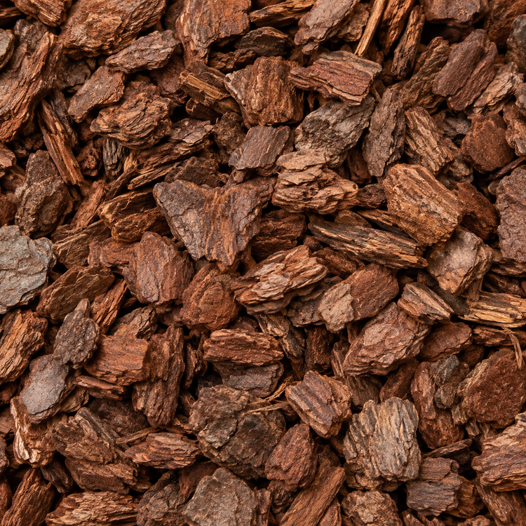 AI illustration: Mini pine bark mulch for a Tampa-area landscape