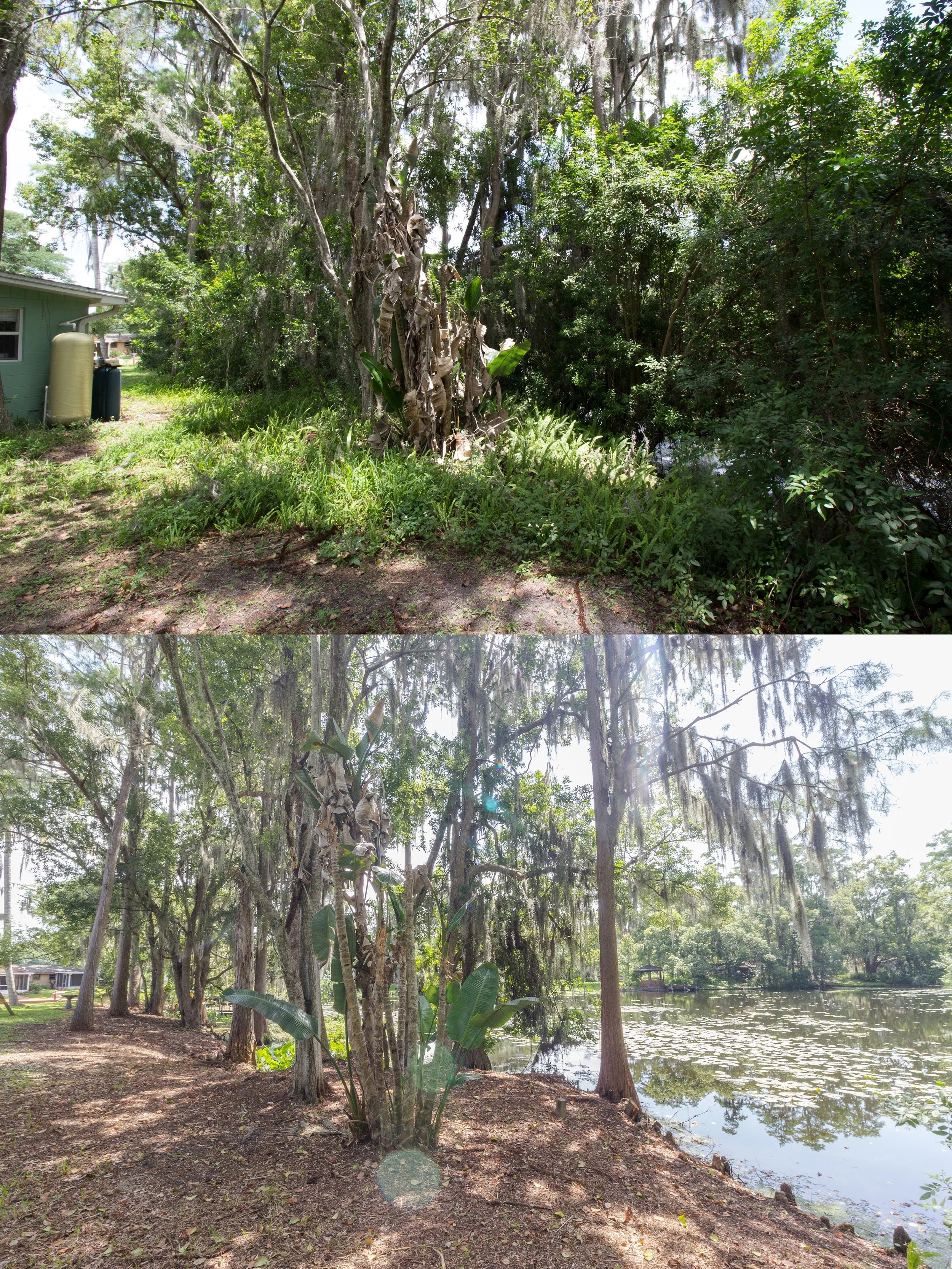 rlc-lakeside-property-cleanup-before-after.jpg