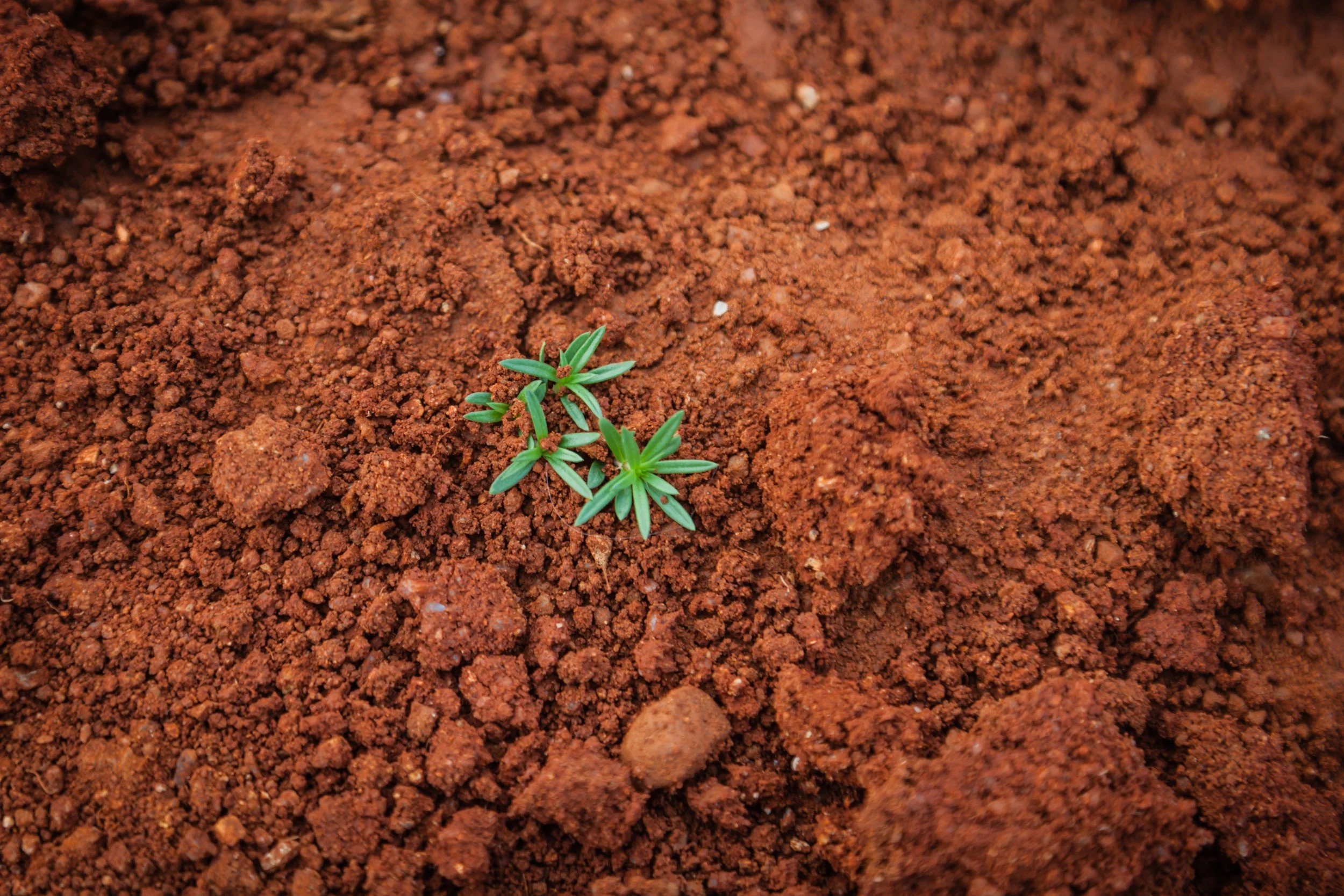 Photo by paul mocan on Unsplash