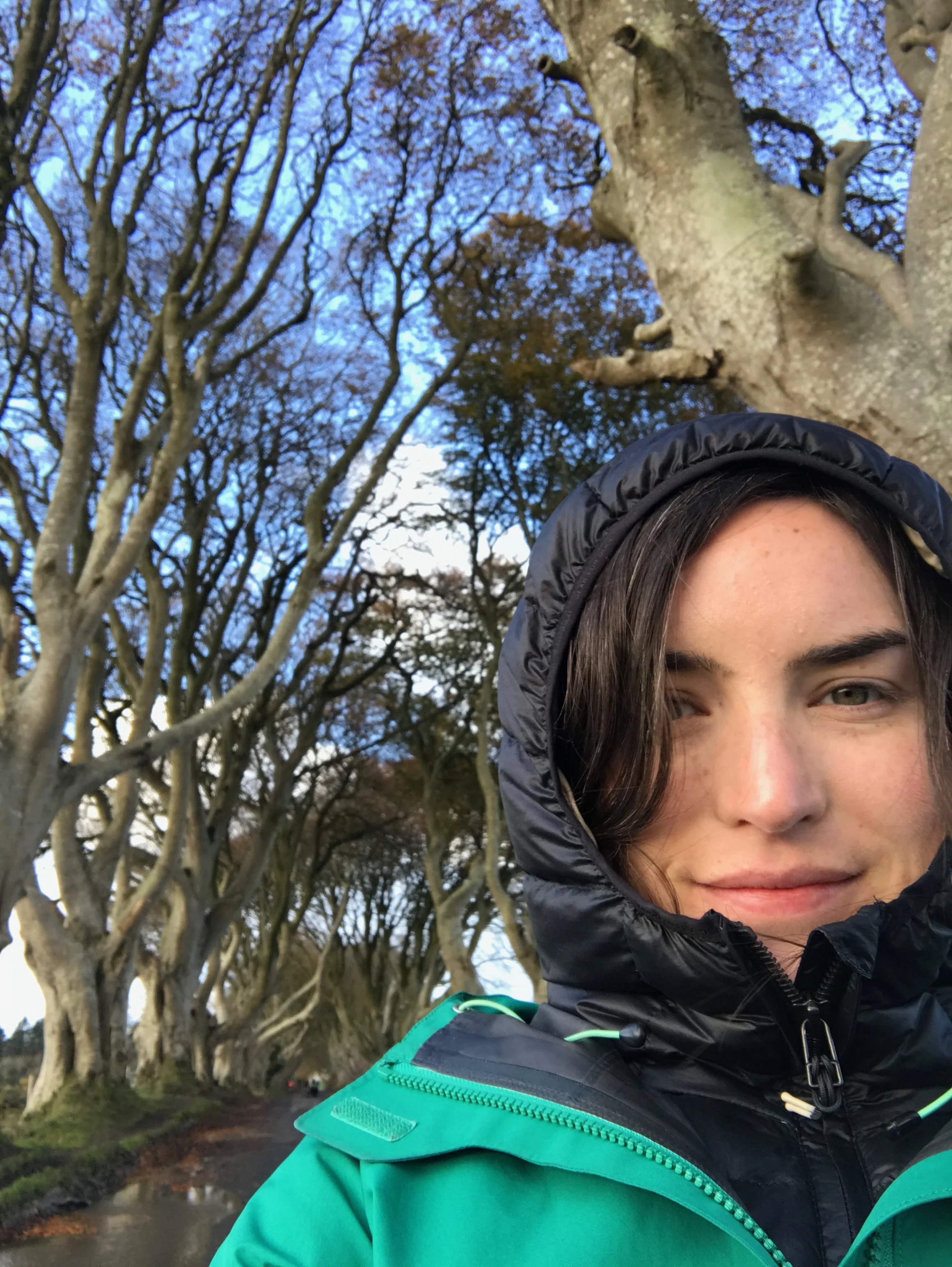 Me at the Dark Hedges.